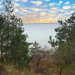 Ostseeperle
