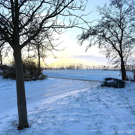 Holiday home Birdiebude *